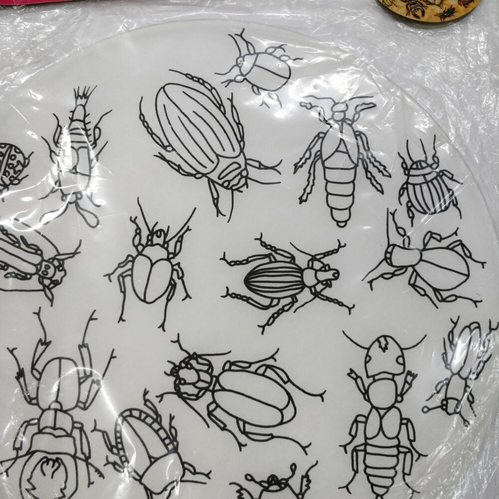 Alternative view of BEETLES SUNCATCHER