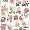 E074 ROSES STK PAPER